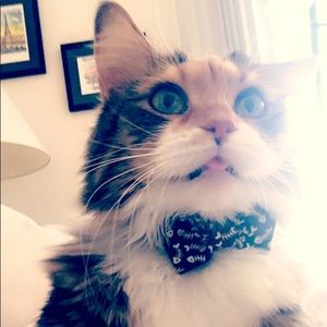 Meet your Posher, Kristen